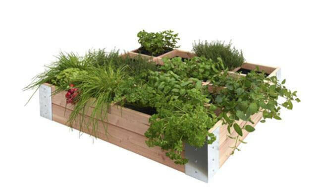 Douglas Minigarden Quadratmeter