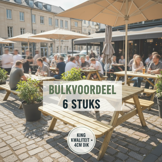 Bulkvoordeel 6 Stuks