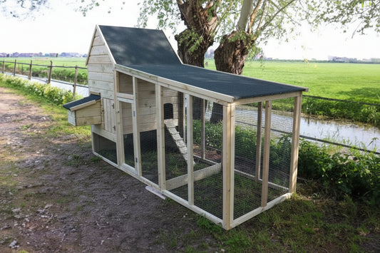 Chicken Coop Chabo (170 x 300 cm)