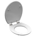 Schütte Toiletbril Met Soft-Close Grey Steel Mdf Hoogglans