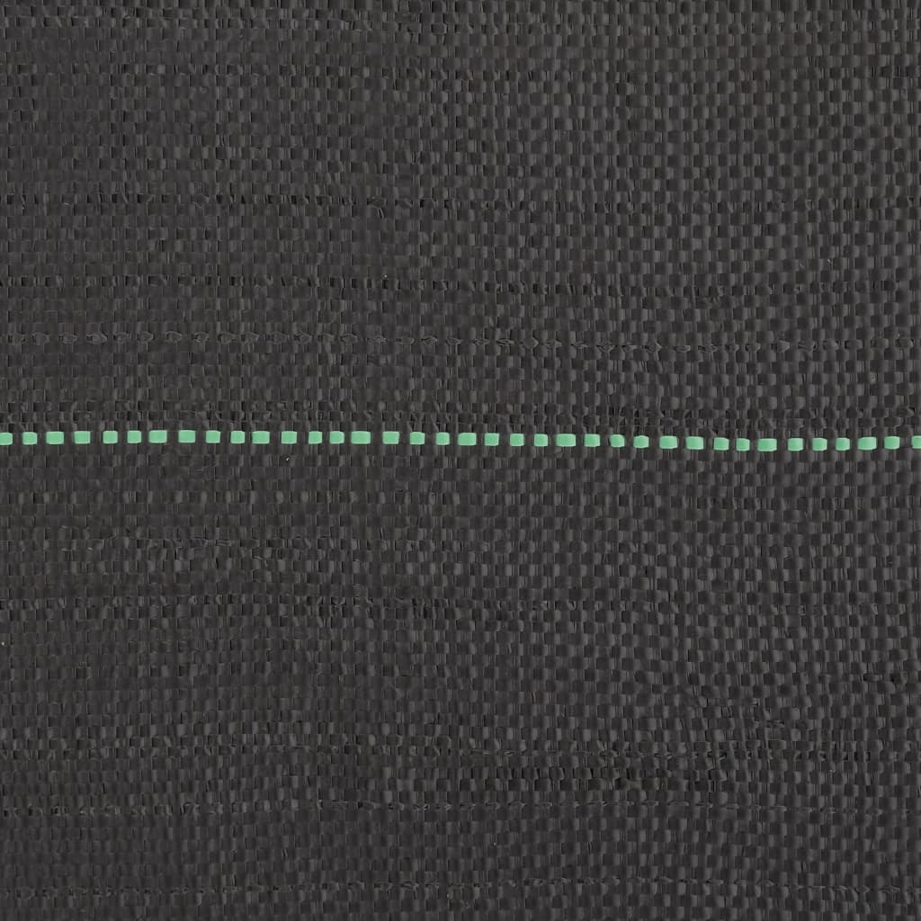 Worteldoek 2X50 M Polypropeen Zwart