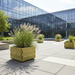 Bloembak in office courtyard