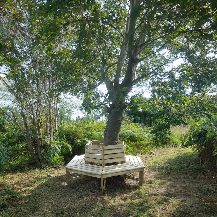 Banc d'arbre avec dossier en pin