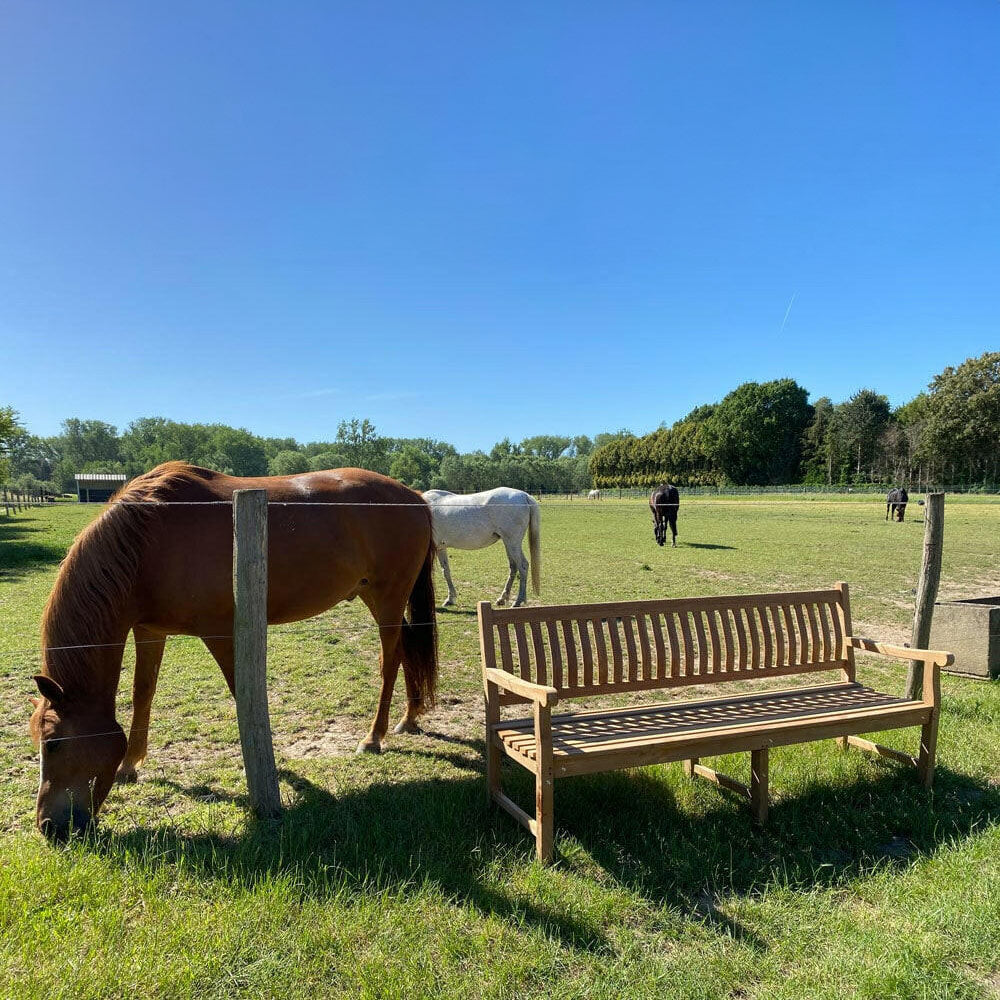 1 stuk Teak tuinbank 210 cm - 2DE KEUZE