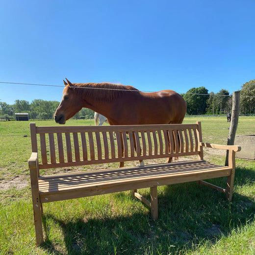 Teak tuinbank 250 cm | Dordogne | 5 cm pootdikte – foto 4