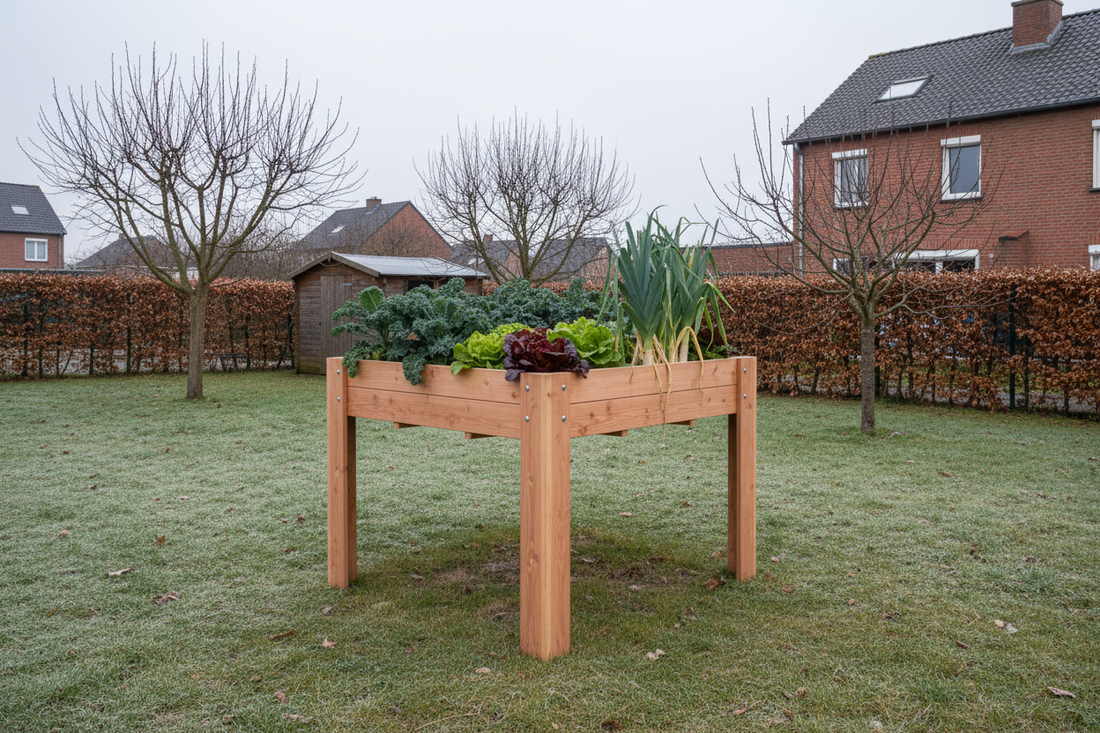 Douglas Minigarden Noa winter vierkant