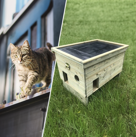 Luxuriöser Unterschlupf für (streunende) Katzen