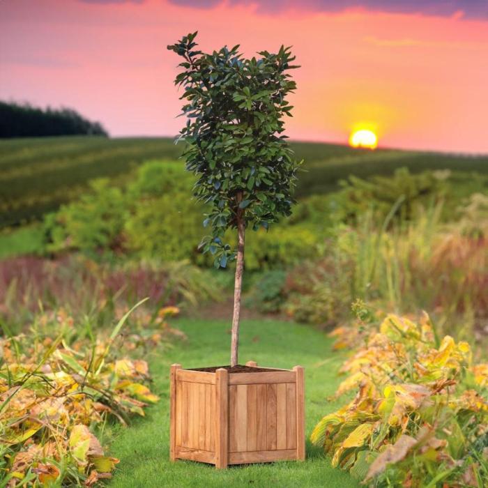 Teak Bloembak Lombok (45 x 45 x 47 cm) | Tekora