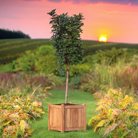 Teak Bloembak Lombok (45 x 45 x 47 cm) | Tekora