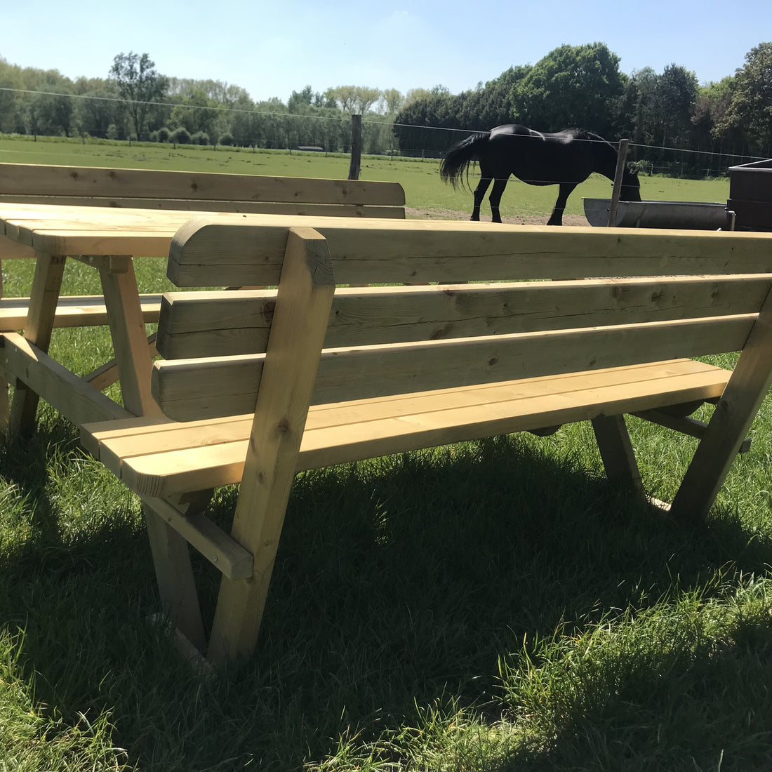 Picknicktafel 240 cm met rugleuningen: achterkant van een bank met rugleuning, met een paard op de achtergrond