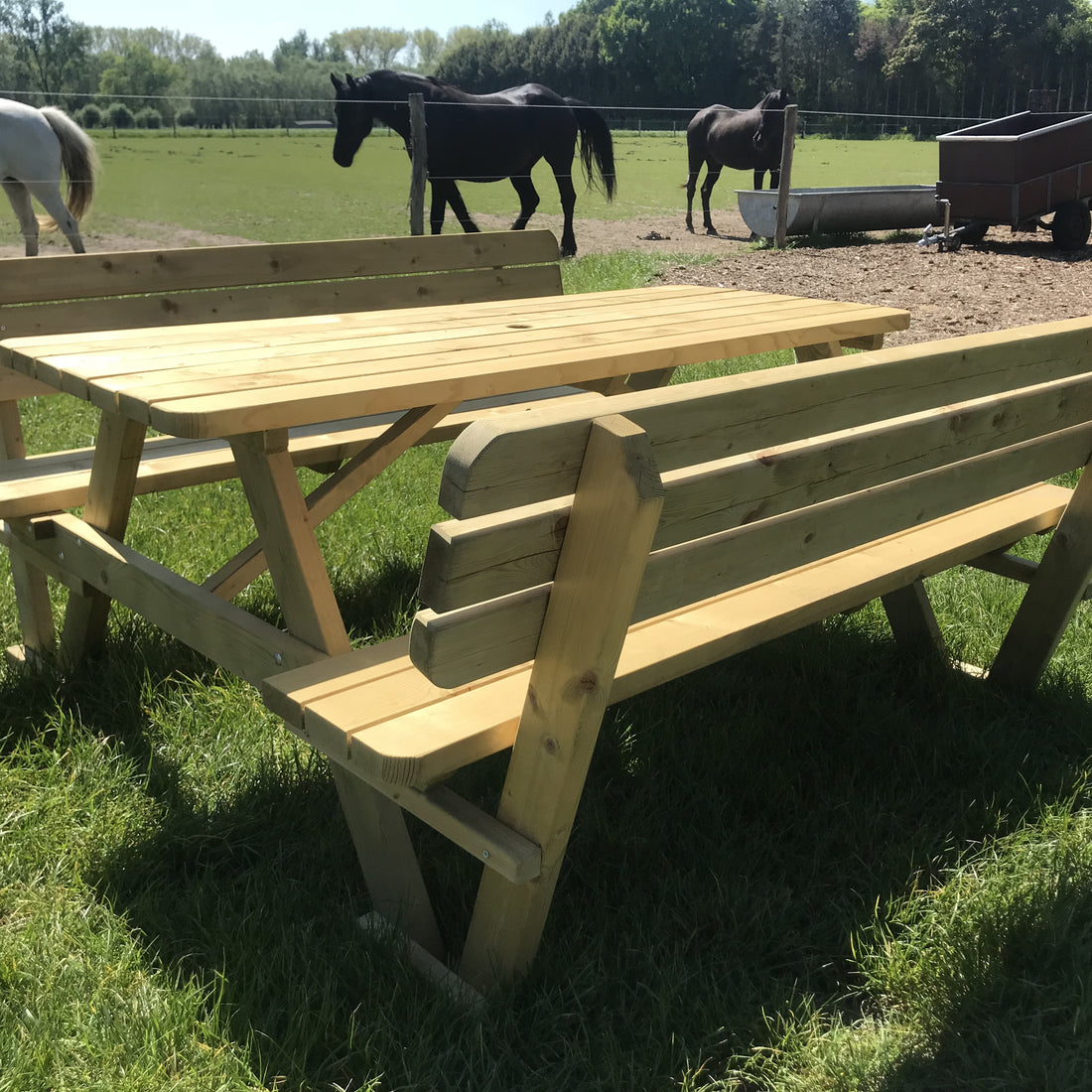 Picknicktafel 240 cm met rugleuningen in de weide, met paarden op de achtergrond