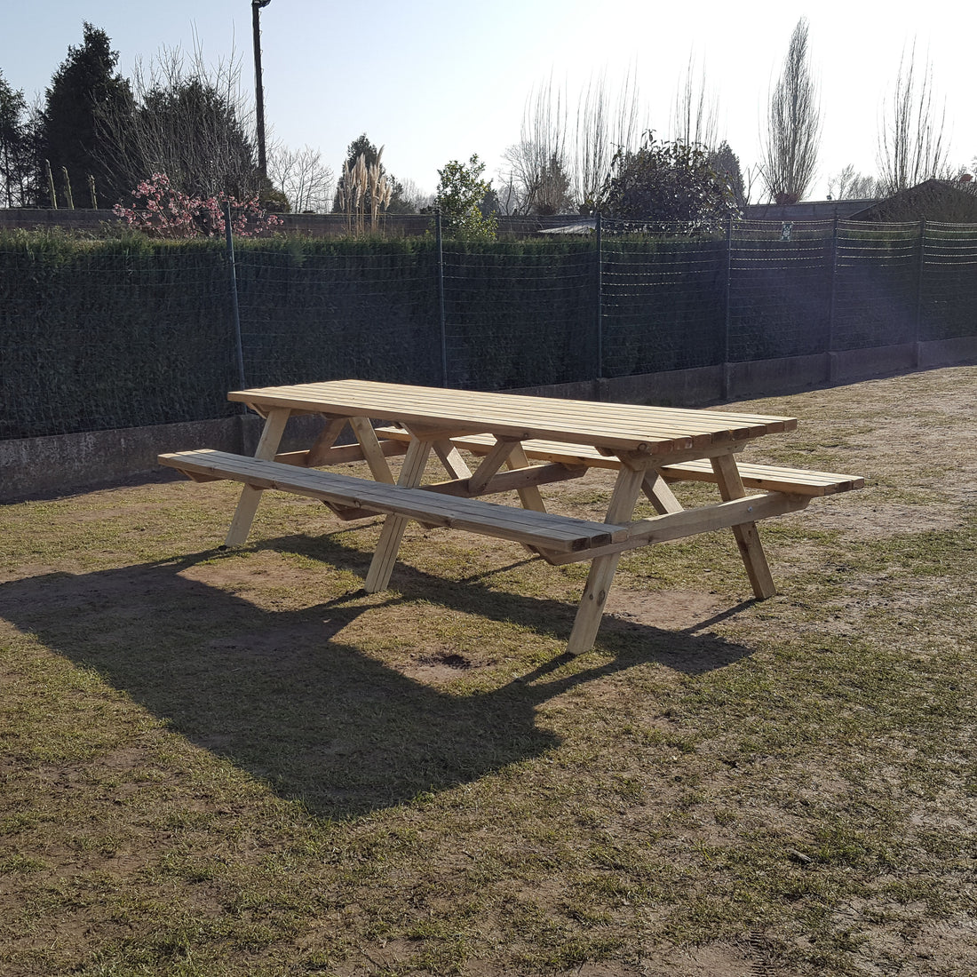 Picknicktafel 300 cm: de hele tafel op het gras in de lage zon