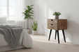 Scandinavisch interieur