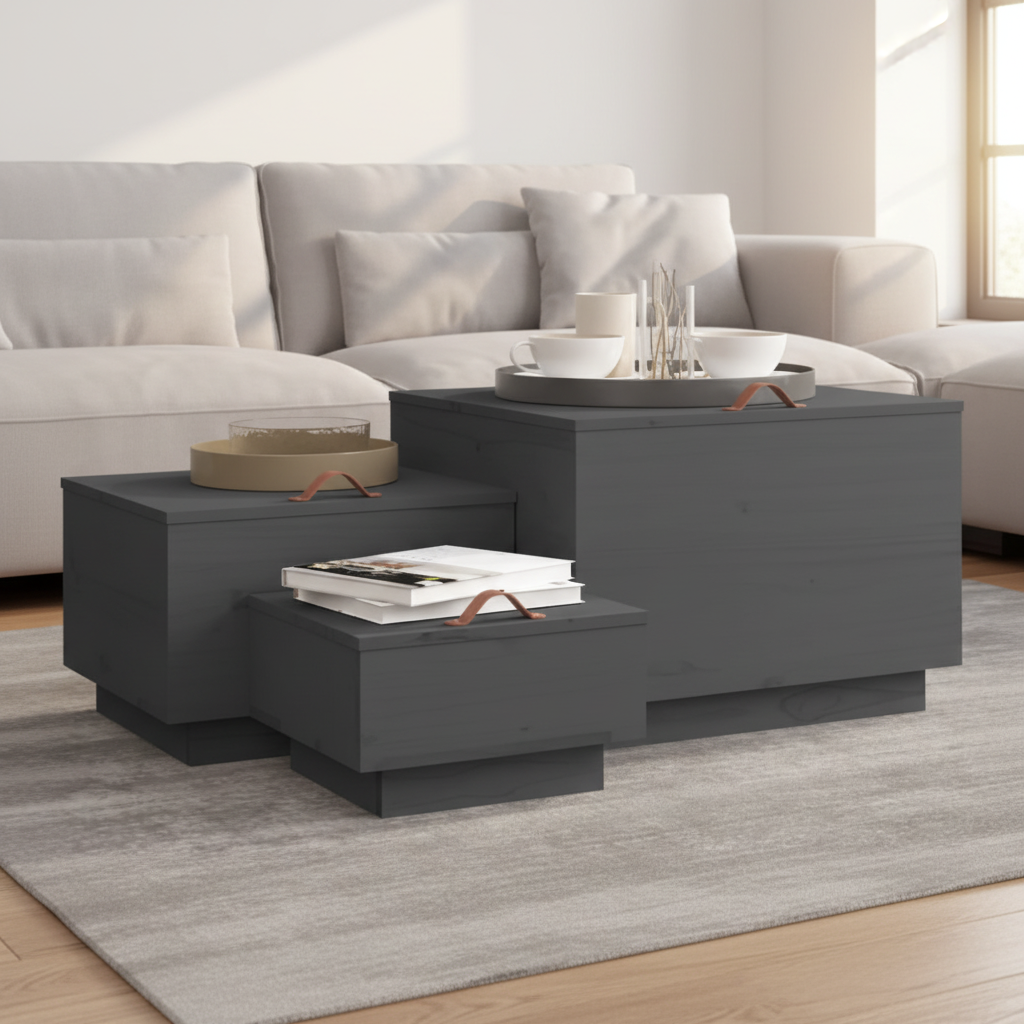 Set van 3 grijze opbergboxen met handgrepen gesloten in moderne woonkamer