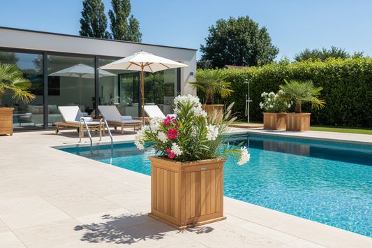 Teak Bloembak Kalimantan bij zwembad