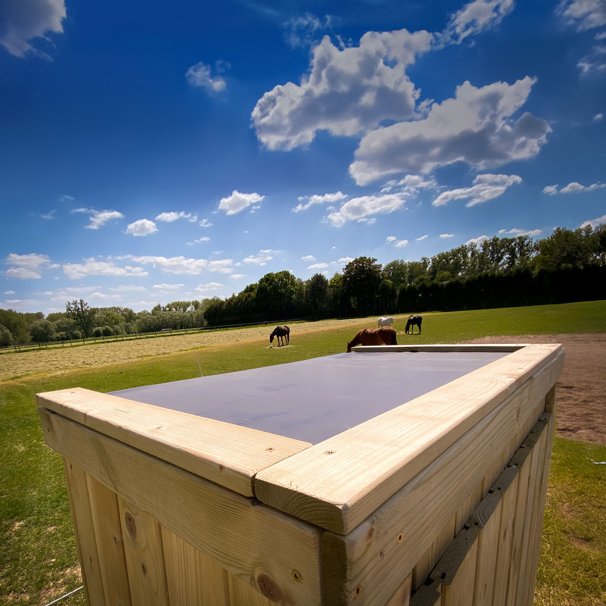 Tuinkast Lelie (190 x 92 x 52 cm).