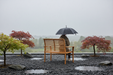 Zen Garden Rainy Day